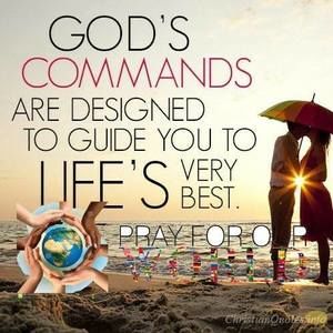 Meet your Posher, Barbaraeufemio